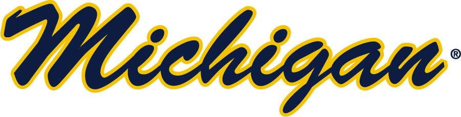 Michigan Wolverines 2016-Pres Wordmark Logo v2 iron on transfers for T-shirts